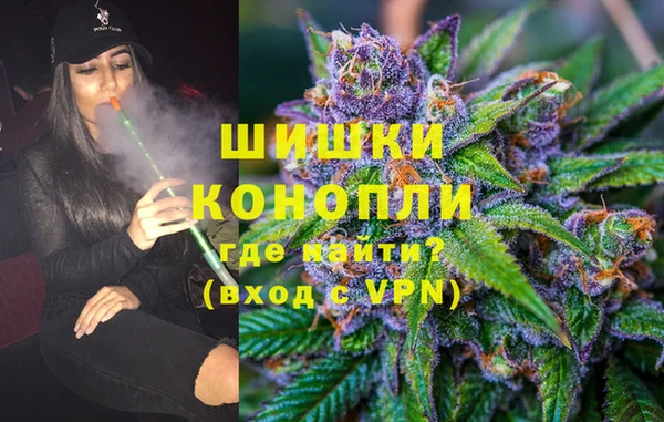 гидра Аркадак